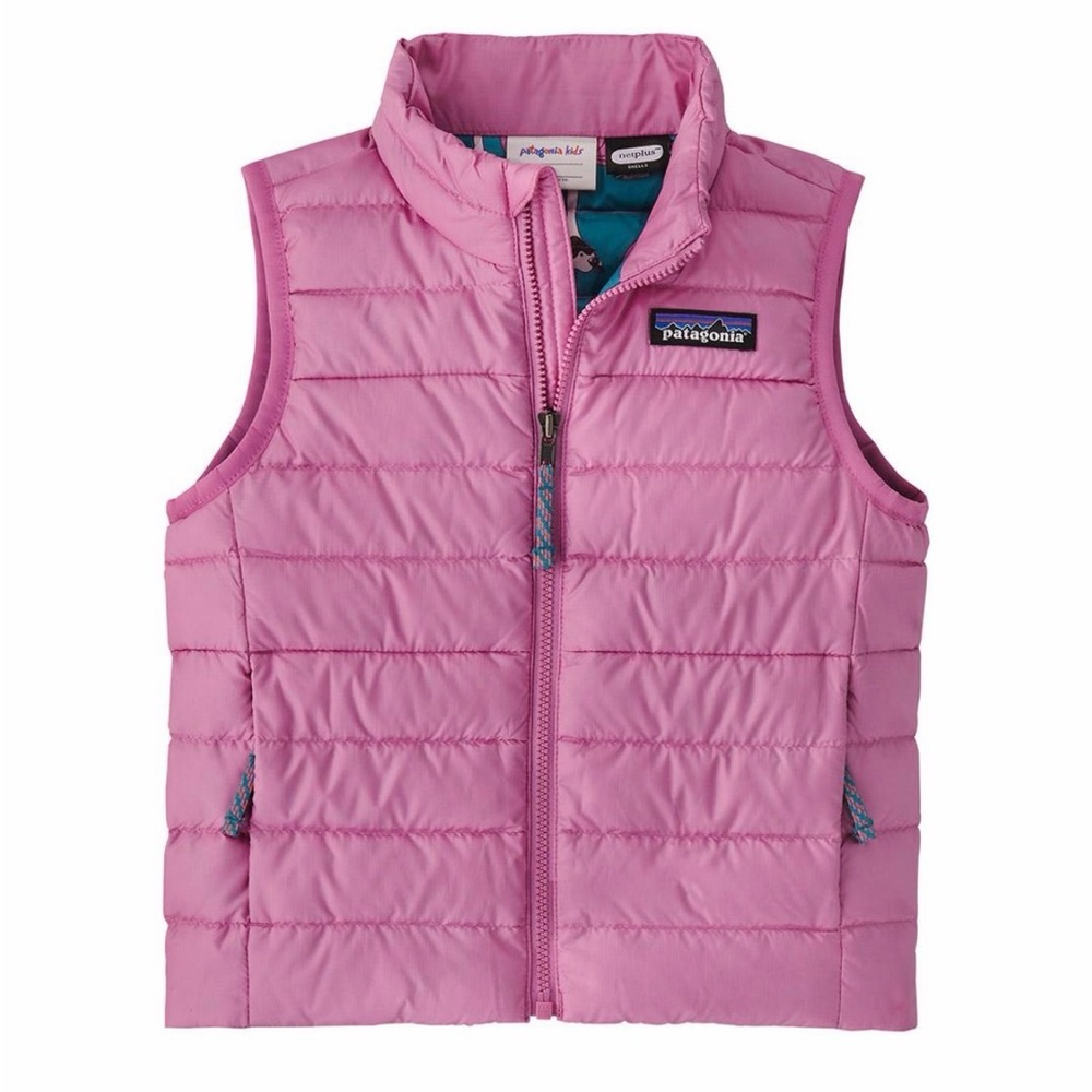 Patagonia Kids' Puffer Vest in Brisk Purple
